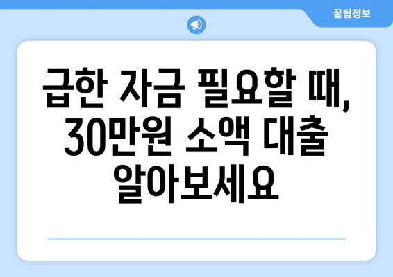 세종특별자치시 연기면 주부 소액 30만원 대출