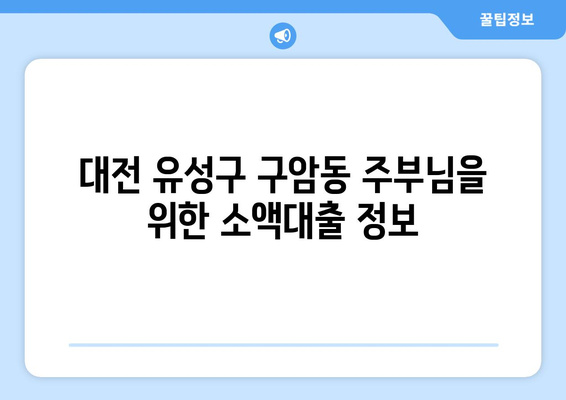 대전광역시 유성구 구암동 주부 소액 30만원 대출