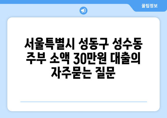 서울특별시 성동구 성수동 주부 소액 30만원 대출