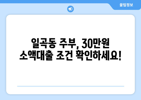 광주광역시 북구 일곡동 주부 소액 30만원 대출