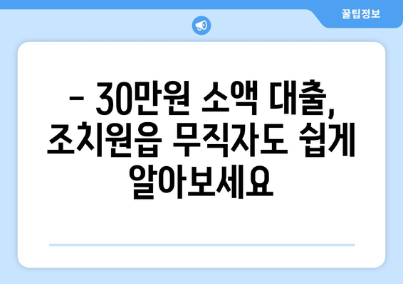 세종특별자치시 세종시 조치원읍 무직자 소액 30만원 대출