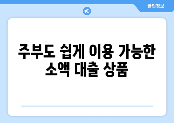 광주광역시 동구 계림동 주부 소액 30만원 대출