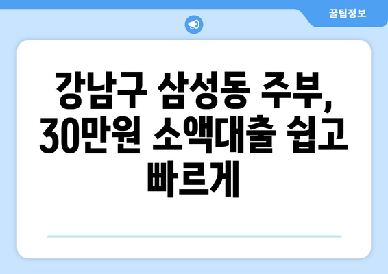 서울특별시 강남구 삼성동 주부 소액 30만원 대출