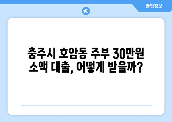 충청북도 충주시 호암동 주부 소액 30만원 대출