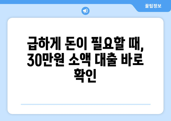 인천광역시 남동구 논현동 주부 소액 30만원 대출