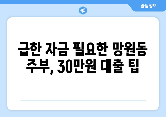 서울특별시 마포구 망원동 주부 소액 30만원 대출