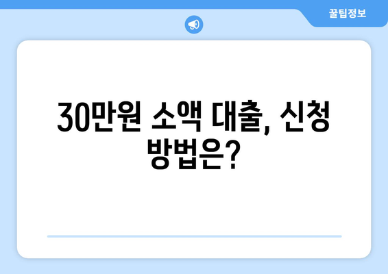 서울특별시 영동포구 신길동 주부 소액 30만원 대출