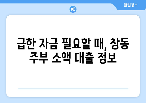 서울특별시 도봉구 창동 주부 소액 30만원 대출