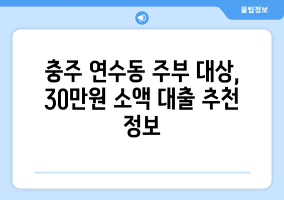 충청북도 충주시 연수동 주부 소액 30만원 대출