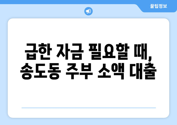 인천광역시 연수구 송도동 주부 소액 30만원 대출