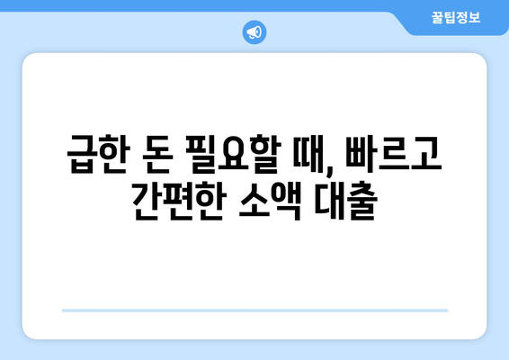 서울특별시 동대문구 휘경동 주부 소액 30만원 대출