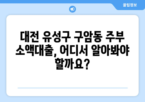 대전광역시 유성구 구암동 주부 소액 30만원 대출