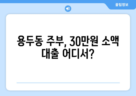 서울특별시 동대문구 용두동 주부 소액 30만원 대출