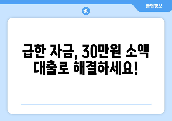 강원도 춘천시 효자3동 주부 소액 30만원 대출