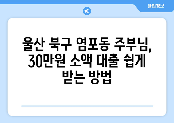 울산광역시 북구 염포동 주부 소액 30만원 대출