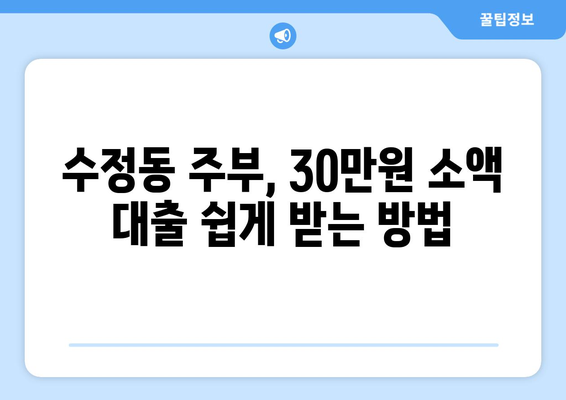 성남시 수정구 수정동 주부 소액 30만원 대출