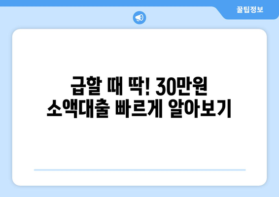 충청남도 아산시 배방읍 주부 소액 30만원 대출