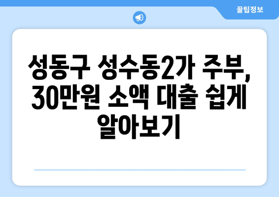 서울특별시 성동구 성수동2가 주부 소액 30만원 대출