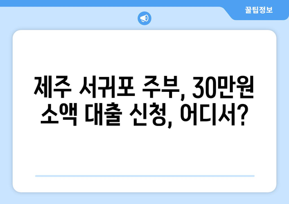 제주특별자치도 제주시 서귀포 주부 소액 30만원 대출