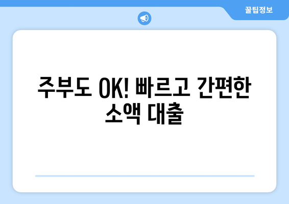 제주특별자치도 제주시 연동 주부 소액 30만원 대출