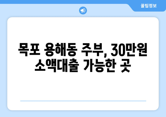 전라남도 목포시 용해동 주부 소액 30만원 대출