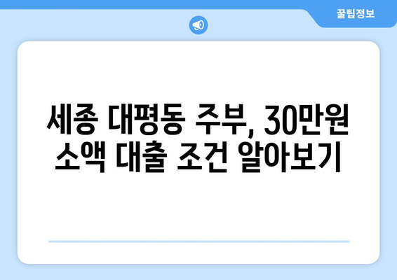 세종특별자치시 대평동 주부 소액 30만원 대출