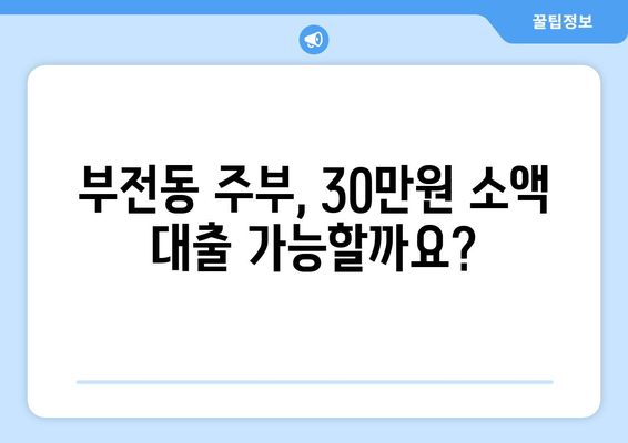 부산광역시 부산진구 부전동 주부 소액 30만원 대출