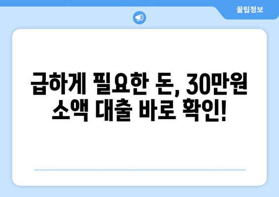 서울특별시 중구 황학동 주부 소액 30만원 대출