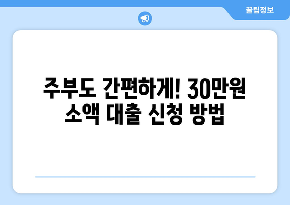 서울특별시 중구 황학동 주부 소액 30만원 대출