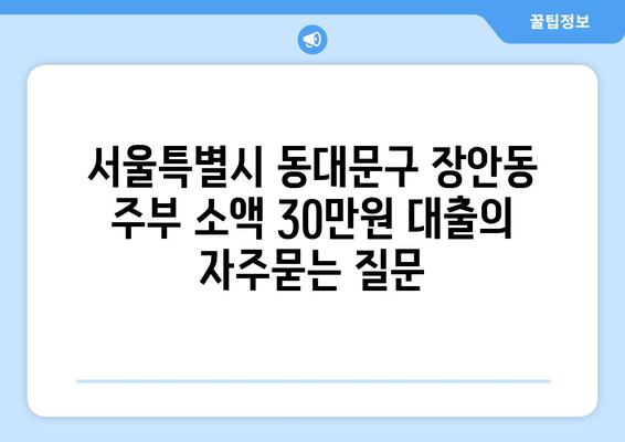 서울특별시 동대문구 장안동 주부 소액 30만원 대출