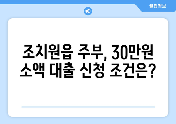 세종특별자치시 세종시 조치원읍 주부 소액 30만원 대출