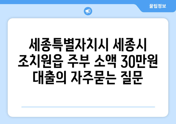 세종특별자치시 세종시 조치원읍 주부 소액 30만원 대출