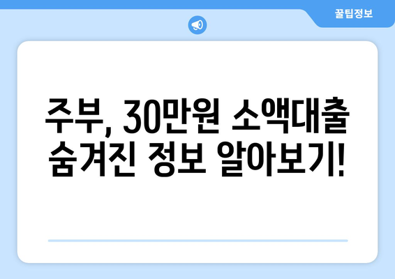 강원도 강릉시 포남동 주부 소액 30만원 대출