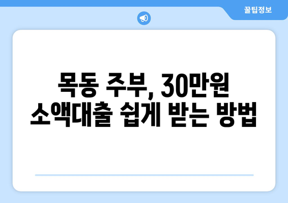 서울특별시 양천구 목동 주부 소액 30만원 대출