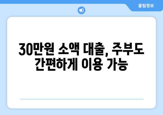 충청북도 충주시 연수동 주부 소액 30만원 대출