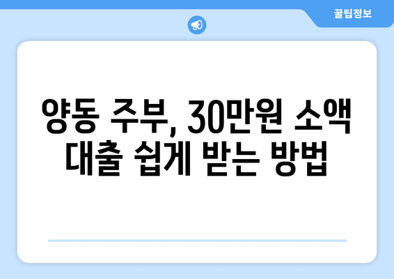 광주광역시 서구 양동 주부 소액 30만원 대출