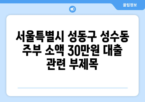 서울특별시 성동구 성수동 주부 소액 30만원 대출