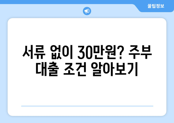 세종특별자치시 나래동 주부 소액 30만원 대출