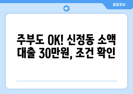 서울특별시 양천구 신정동 주부 소액 30만원 대출