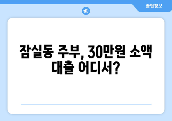 서울특별시 송파구 잠실동 주부 소액 30만원 대출