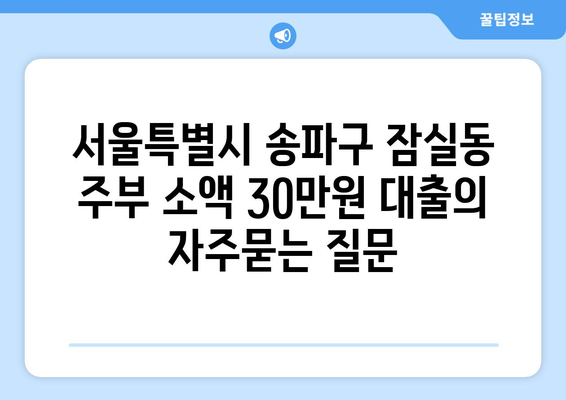 서울특별시 송파구 잠실동 주부 소액 30만원 대출