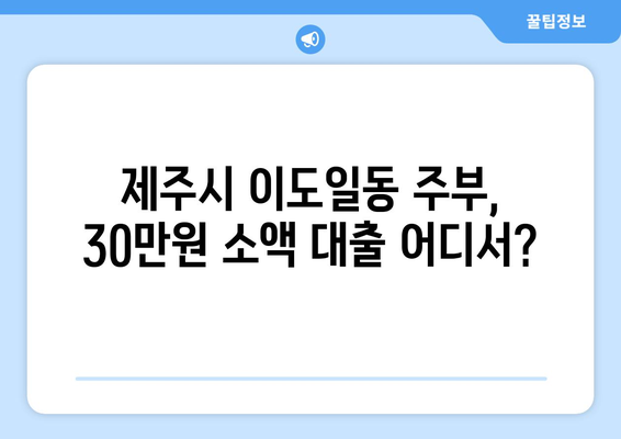 제주특별자치도 제주시 이도일동 주부 소액 30만원 대출