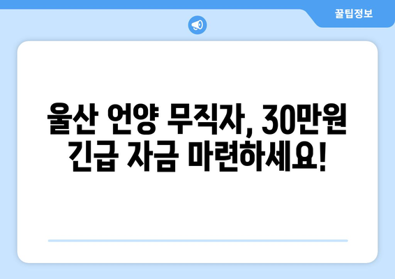 울산광역시 울주군 언양읍 무직자 소액 30만원 대출