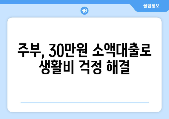 서울특별시 강남구 삼성동 주부 소액 30만원 대출