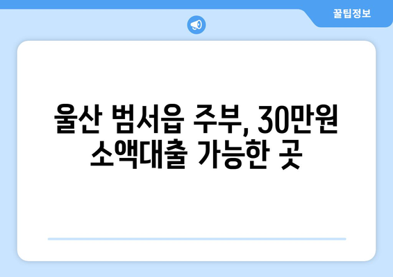 울산광역시 울주군 범서읍 주부 소액 30만원 대출