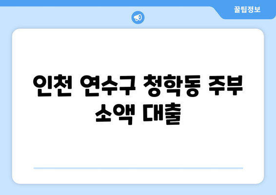 인천광역시 연수구 청학동 주부 소액 30만원 대출