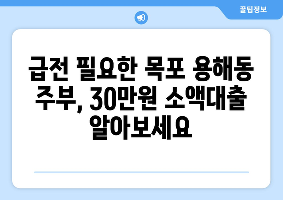 전라남도 목포시 용해동 주부 소액 30만원 대출