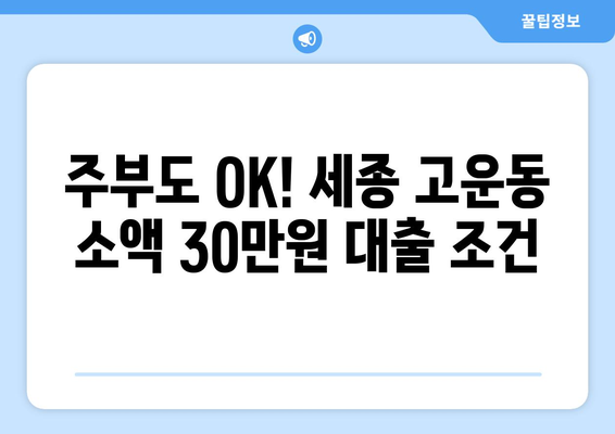 세종특별자치시 고운동 주부 소액 30만원 대출