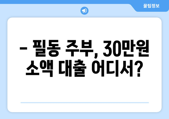 서울특별시 중구 필동 주부 소액 30만원 대출