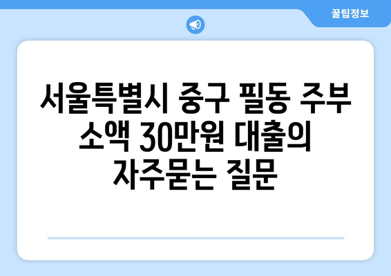 서울특별시 중구 필동 주부 소액 30만원 대출